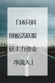 16只科创板活跃股获主力资金净流入