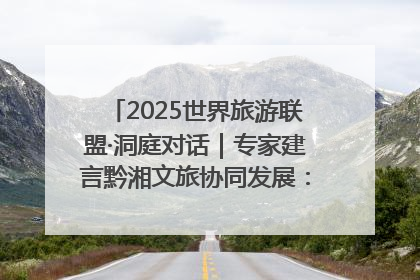 2025世界旅游联盟·洞庭对话｜专家建言黔湘文旅协同发展：聚焦产品稀缺性 深化区域经验共享