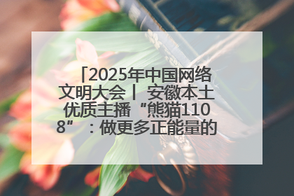2025年中国网络文明大会丨 安徽本土优质主播“熊猫1108”：做更多正能量的事情 带给大家快乐