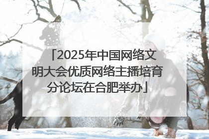 2025年中国网络文明大会优质网络主播培育分论坛在合肥举办