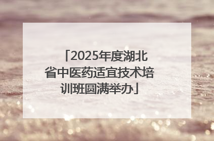 2025年度湖北省中医药适宜技术培训班圆满举办