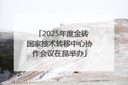 2025年度金砖国家技术转移中心协作会议在昆举办