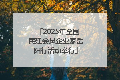 2025年全国民建会员企业家岳阳行活动举行