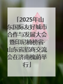 2025年山东国际友好城市合作与发展大会暨印尼楠榜省·山东省招商交流会在济南槐荫举行