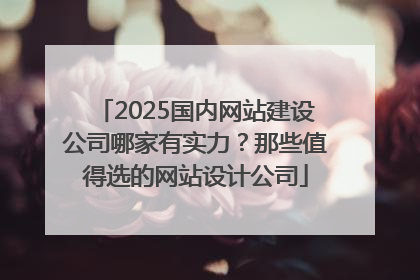 2025国内网站建设公司哪家有实力？那些值得选的网站设计公司