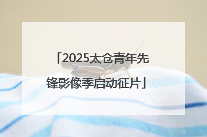 2025太仓青年先锋影像季启动征片