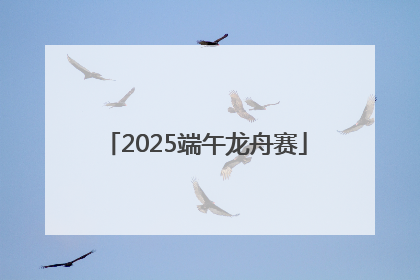 2025端午龙舟赛