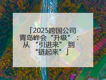 2025跨国公司青岛峰会“升级”：从 “引进来” 到 “链起来”