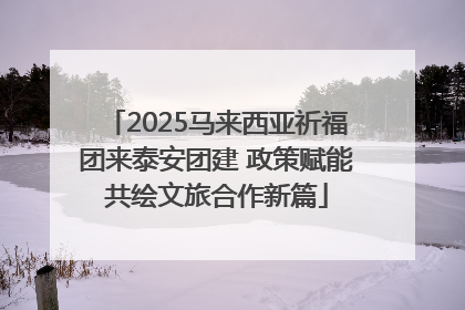 2025马来西亚祈福团来泰安团建 政策赋能共绘文旅合作新篇