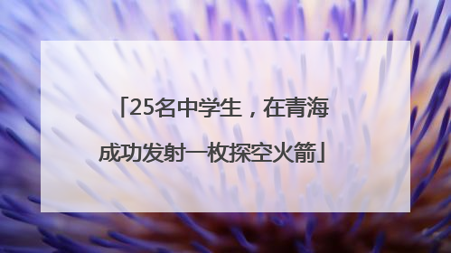 25名中学生，在青海成功发射一枚探空火箭
