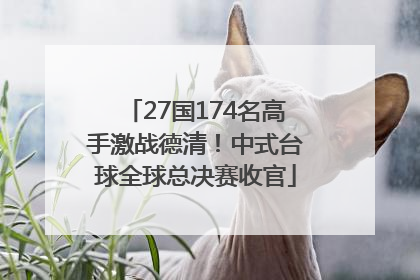 27国174名高手激战德清！中式台球全球总决赛收官