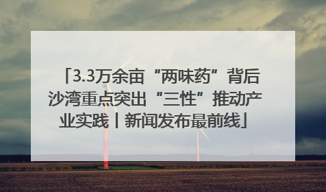 3.3万余亩“两味药”背后 沙湾重点突出“三性”推动产业实践丨新闻发布最前线