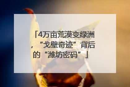4万亩荒漠变绿洲，“戈壁奇迹”背后的“潍坊密码”
