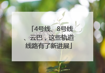 4号线、8号线、云巴，这些轨道线路有了新进展