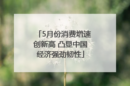 5月份消费增速创新高 凸显中国经济强劲韧性