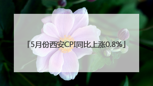 5月份西安CPI同比上涨0.8%