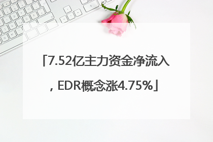 7.52亿主力资金净流入，EDR概念涨4.75%