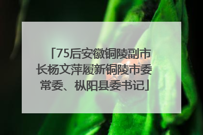 75后安徽铜陵副市长杨文萍履新铜陵市委常委、枞阳县委书记