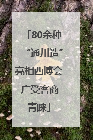 80余种“通川造”亮相西博会 广受客商青睐