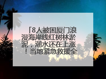 8人被困厦门浪漫海岸线红树林淤泥，潮水还在上涨！当地紧急救援全部脱困