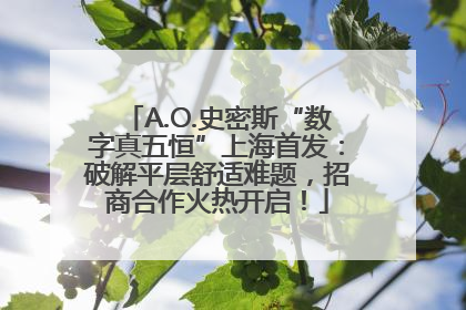 A.O.史密斯“数字真五恒”上海首发：破解平层舒适难题，招商合作火热开启！