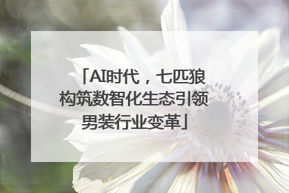AI时代，七匹狼构筑数智化生态引领男装行业变革