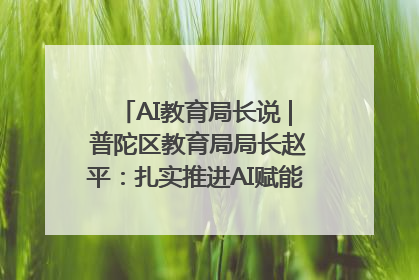 AI教育局长说 | 普陀区教育局局长赵平：扎实推进AI赋能教育，着力打造“适合教育”新体系