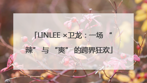 LINLEE ×卫龙：一场 “辣” 与 “爽” 的跨界狂欢